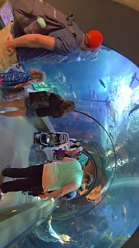 Oregon Coast Aquarium photo 2