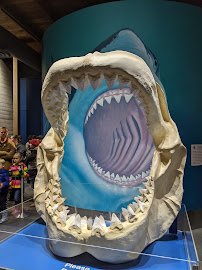 Oregon Coast Aquarium photo 5