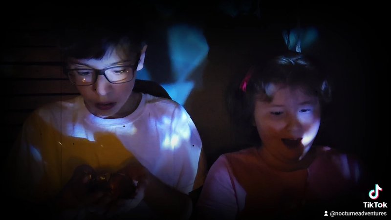 Nocturne Adventures photo 2