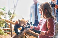 Oglebay Good Zoo