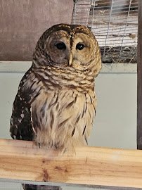 Oglebay Good Zoo photo 5