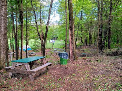 Wake in the Woods Aquapark and Campground photo 3