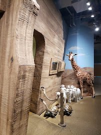 Jewish Children's Museum photo 6