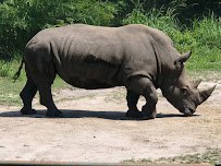 Virginia Zoo photo 5