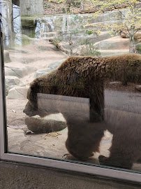 John Ball Zoo photo 2