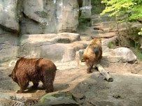 John Ball Zoo photo 3