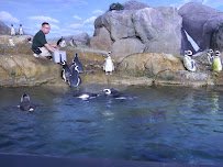 John Ball Zoo photo 5