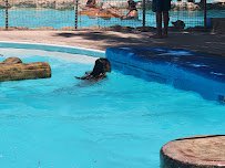 Kiddie Coast