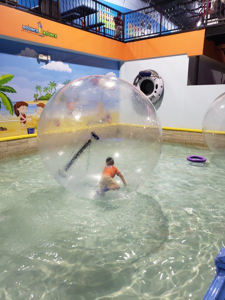 Bounce Bounce photo 4
