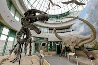 North Carolina Museum of Natural Sciences