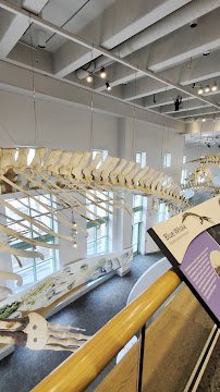 North Carolina Museum of Natural Sciences photo 2