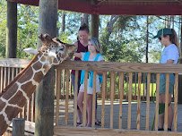 Alabama Gulf Coast Zoo photo 4
