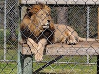 Alabama Gulf Coast Zoo photo 5