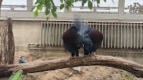 McNeil Avian Center photo 2