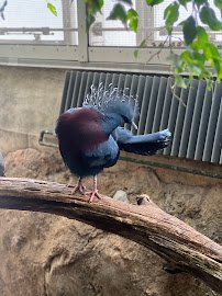 McNeil Avian Center photo 3