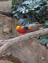 McNeil Avian Center photo 4