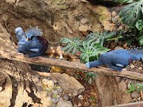 McNeil Avian Center photo 6