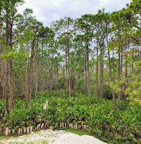 Calusa Nature Center & Planetarium photo 3
