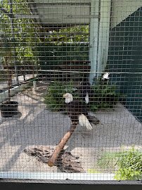 Calusa Nature Center & Planetarium photo 4