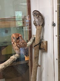 Calusa Nature Center & Planetarium photo 6