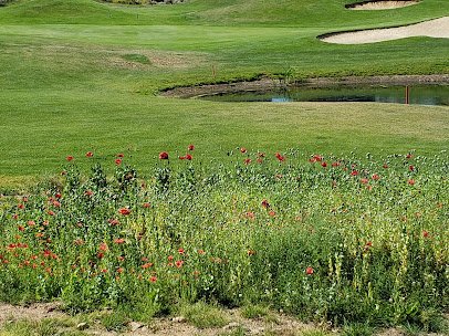Eagle Crest Putting Course photo 6