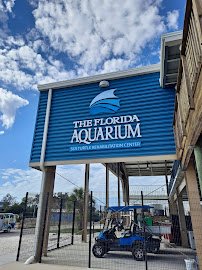 The Florida Aquarium Sea Turtle Rehabilitation Center