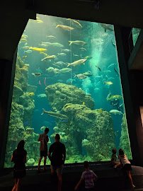South Carolina Aquarium photo 3