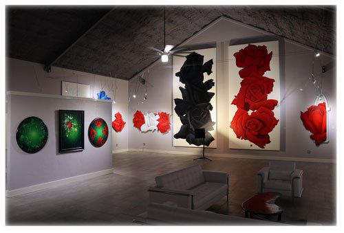 Museo Benini photo 3