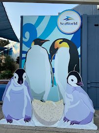 Penguin Encounter photo 5