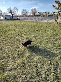 Marion Kreiner Pool & Splash Pad photo 4