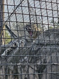 Micke Grove Zoo photo 3