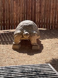 Micke Grove Zoo photo 5