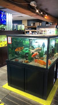The Reef Aquarium Shop photo 2
