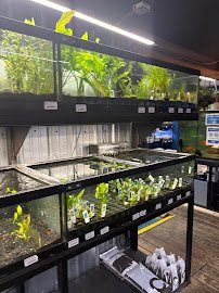 The Reef Aquarium Shop photo 4