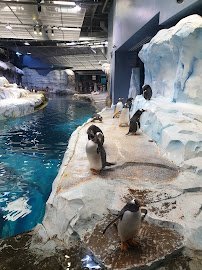 Detroit Zoo photo 6