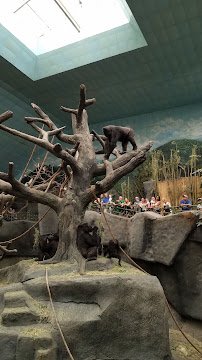 Chicago Zoological Society photo 2