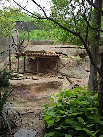 Brush Country at Fort Worth Zoo photo 3