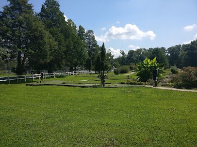 Fun Haven Golf photo 5