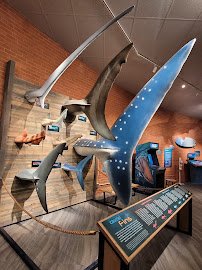 Flandrau Science Center and Planetarium photo 4