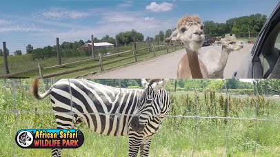 African Safari Wildlife Park photo 2