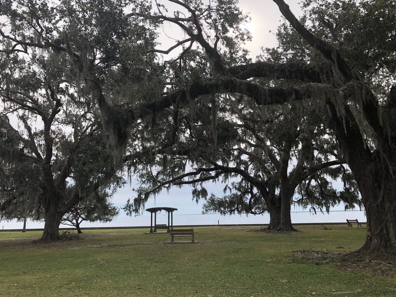 Mandeville Lakefront Splash Park photo 1