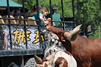 Taylor's Wilderness Safari photo 3