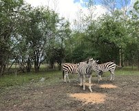 Taylor's Wilderness Safari photo 4