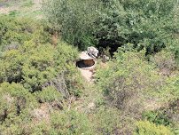 Condor and Jaguar Pavilion photo 5