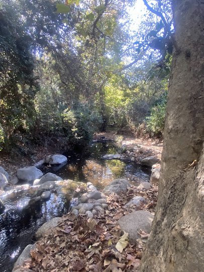 Environmental Nature Center photo 5
