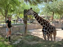 Reid Park Zoo photo 4
