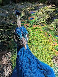 Reid Park Zoo photo 5