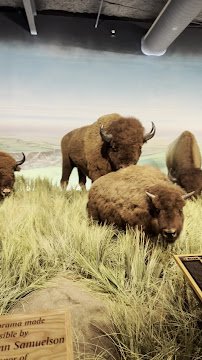 Rolling Hills Zoo photo 2