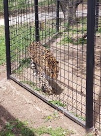 Rolling Hills Zoo photo 4