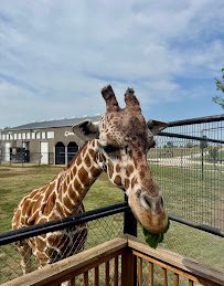 Rolling Hills Zoo photo 5